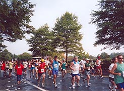 [photo, Annapolis Striders' 10-Mile Run, Rowe Blvd., Annapolis, Maryland]