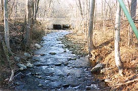 [photo, Little Hunting Creek, Thurmont, Maryland]